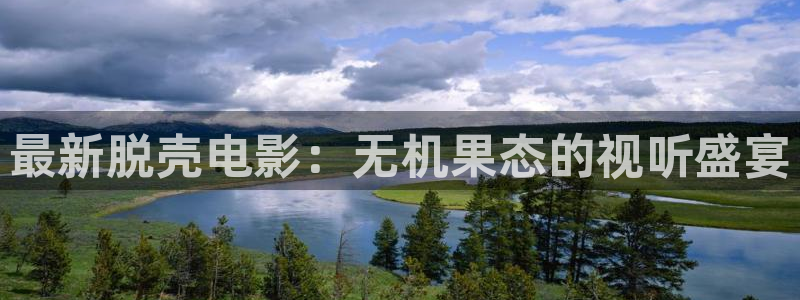 新视觉影院手机版在线观看