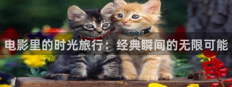 新视觉眼镜怎么样