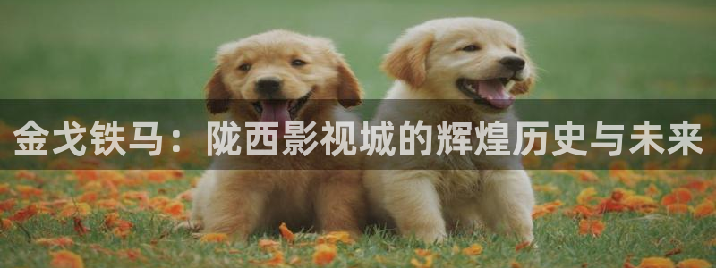 60680新视觉官网