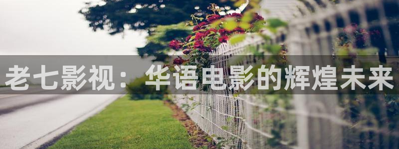 新视觉高清频道 电影