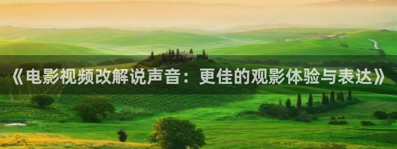 8060新视觉电影大全