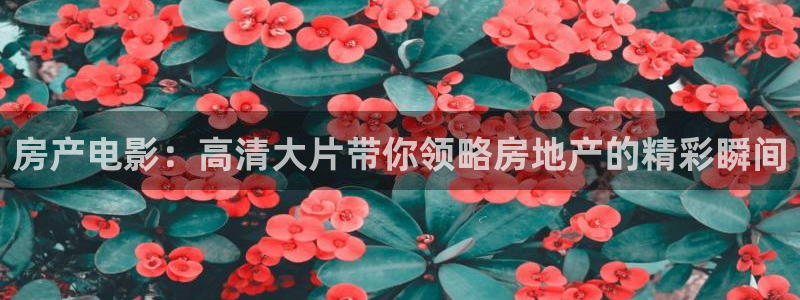 新视觉学院