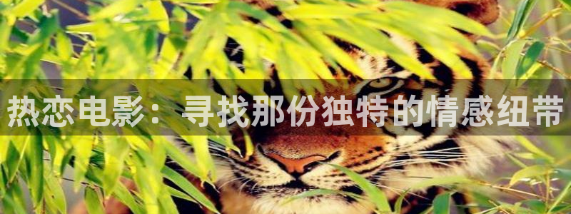 6080新视觉yy理论片