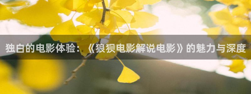 新视觉6080影视