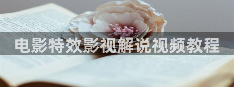 新视觉yy6080影院