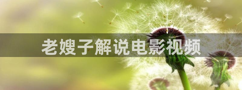飘零新视觉