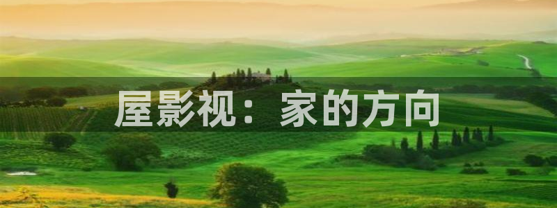 新视觉yy