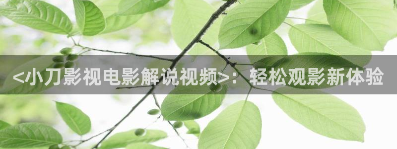 秋霞电影新视觉影院