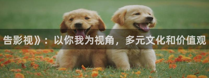 6080新视觉影院网页版