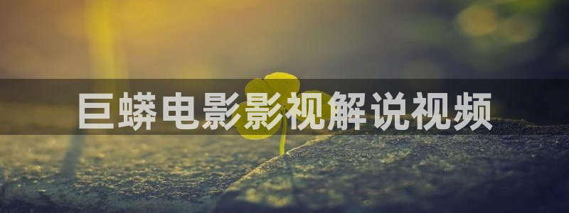 6080新视觉影院理论