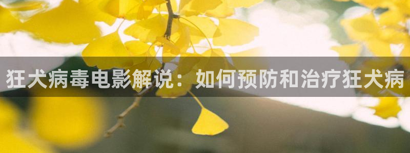 6080新视觉影院新视觉午夜毛片