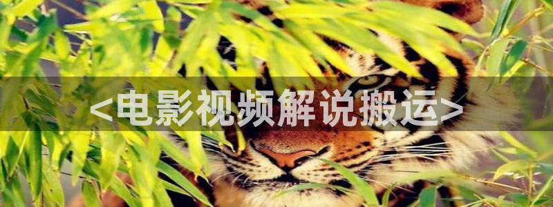 济南新视觉培训学校