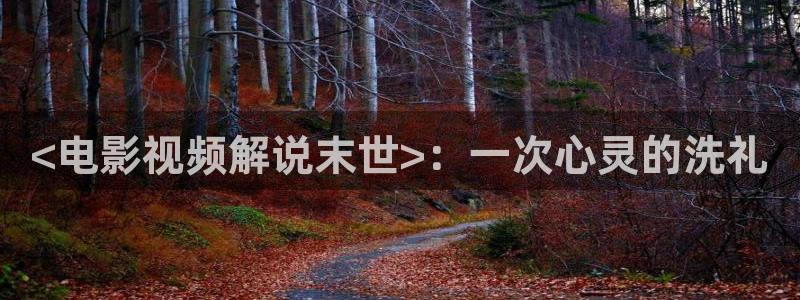 6080新视觉电影理论电影