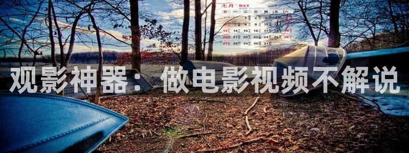 新视觉综艺完整版免费观看