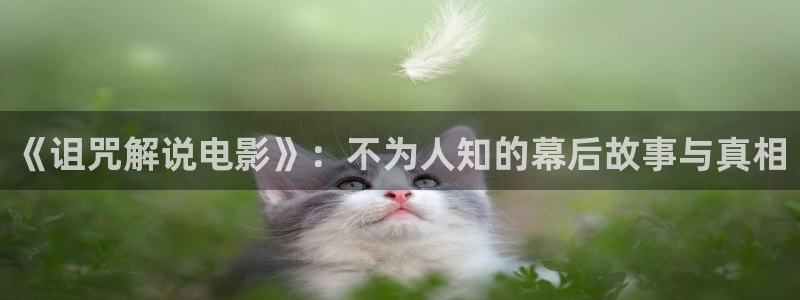 我不卡新视觉