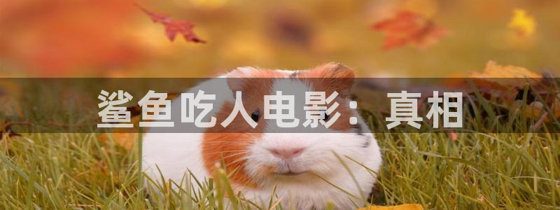 92yy新视觉