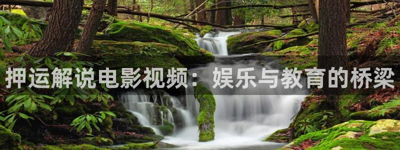 4080新视觉电影免费观看