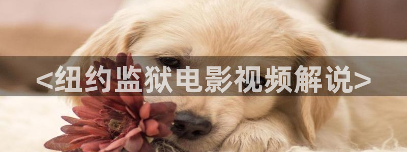 新视觉影院在线观看完整版