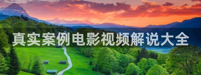 新视觉yy6080电视剧在线观看