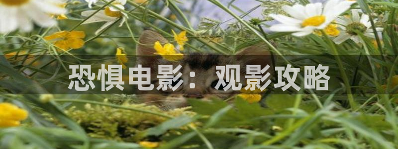 www.新视觉影院