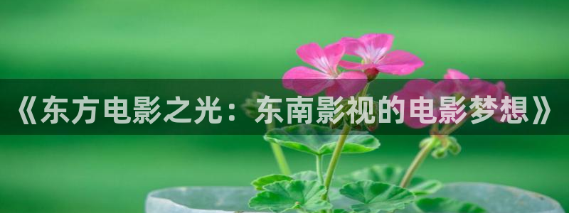 新视觉电子