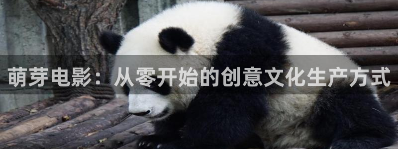 如懿传在线观看新视觉