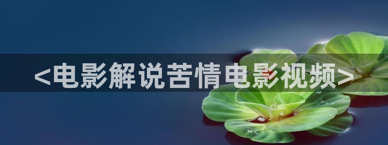 51新视觉