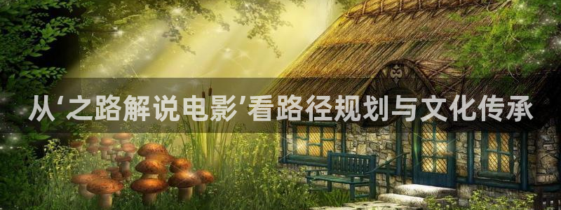 新视觉高清节目单