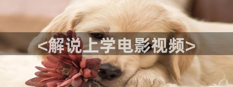 新视觉影院yy6088