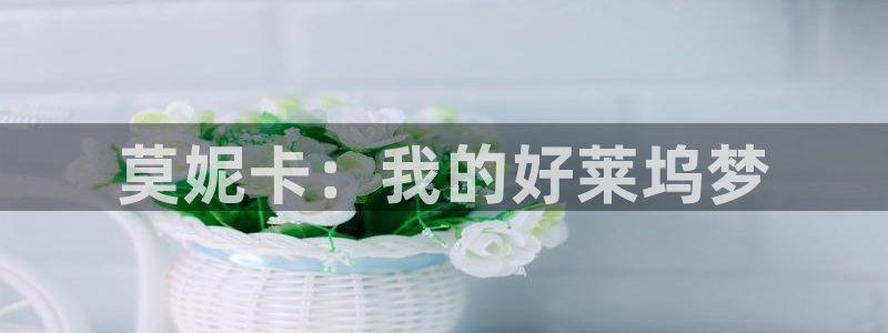 新视觉电影免费播放