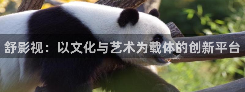 新视觉dd6029影院