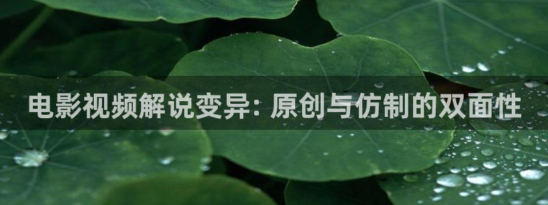 新视觉6090影院