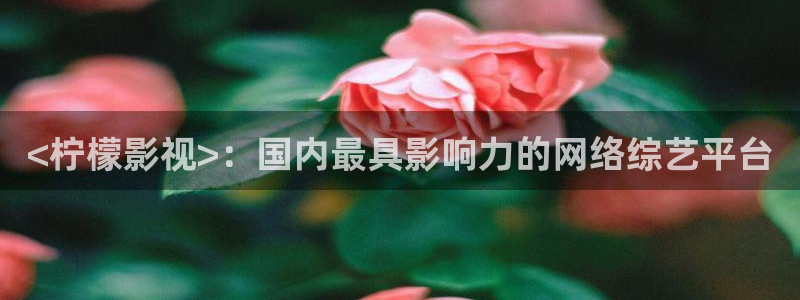 新视觉6688