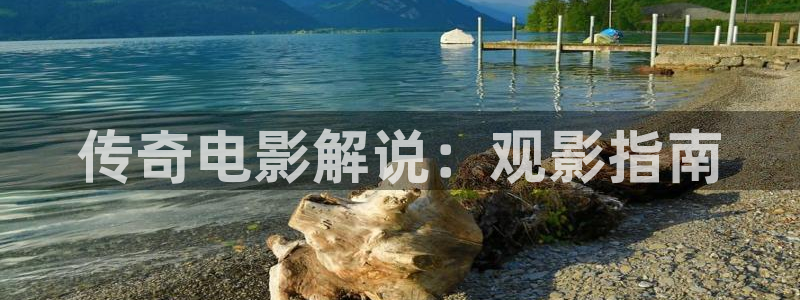 新视觉6080在线免费观看
