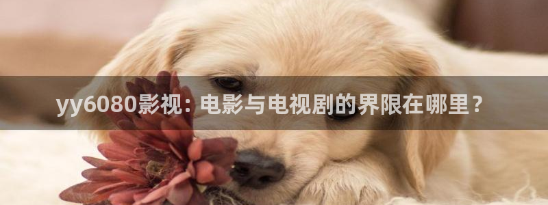 6080新视觉手机版电影