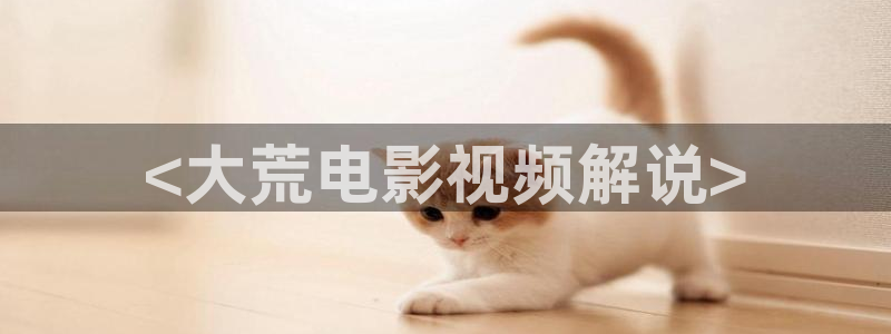 英超新视觉