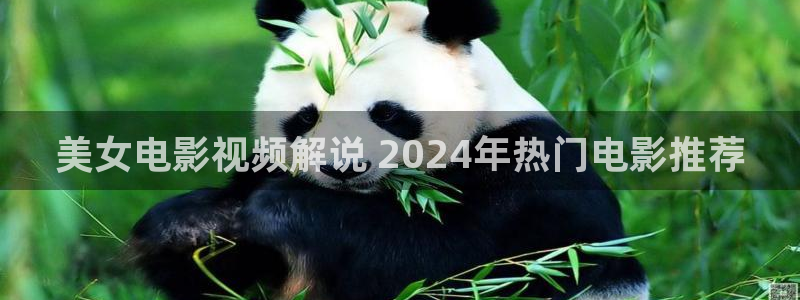 y y6080新视觉电影