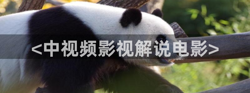 济南新视觉公司怎么样