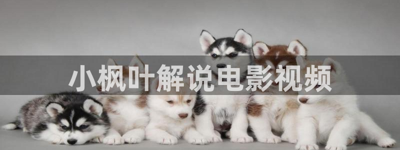 92yy新视觉