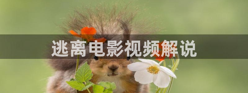 4080新视觉电影理论电视剧在线观看