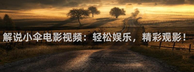 新视觉一级