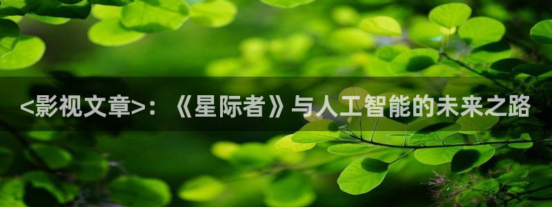 8090新视觉电视剧