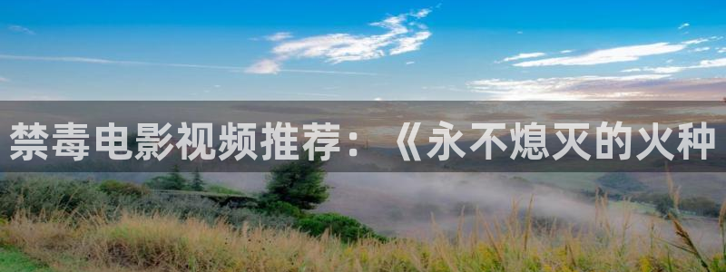 新视觉4080影院