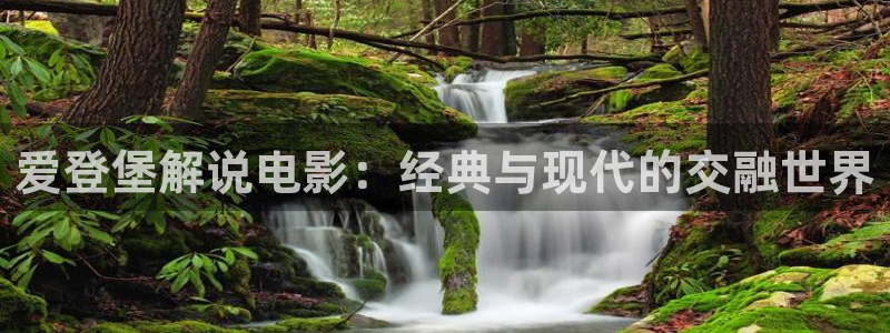 新视觉电子
