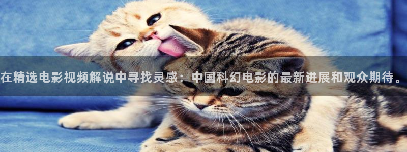 6080yy新视觉电影伦理