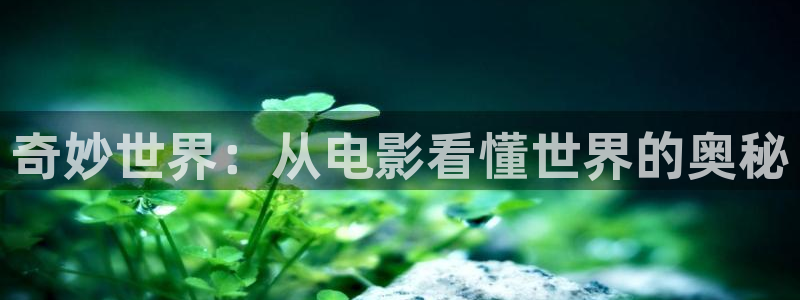 新视觉影院抢先看 秋霞