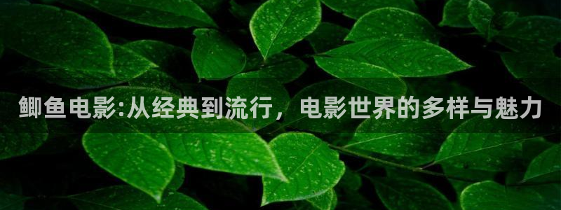 新视觉6080电影电视剧在线观看