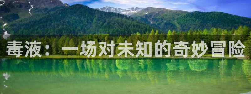 yy电影新视觉