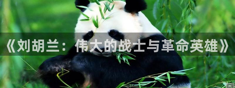 新视觉云播