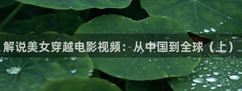 6080新视觉免费观看电视